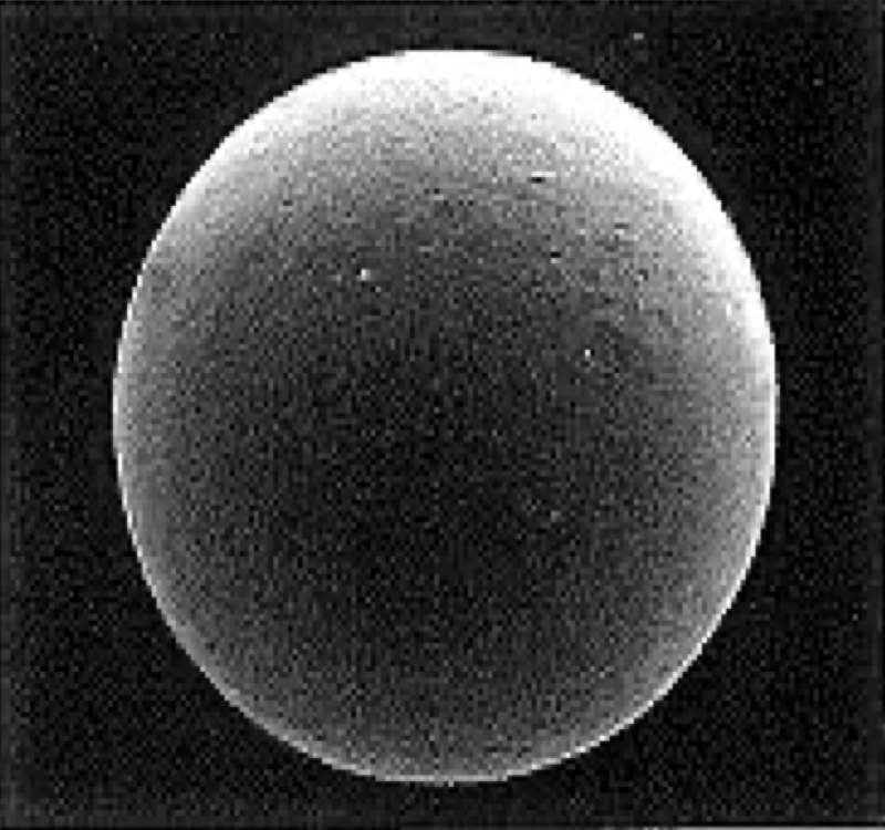 Enlarged Photo(×420)