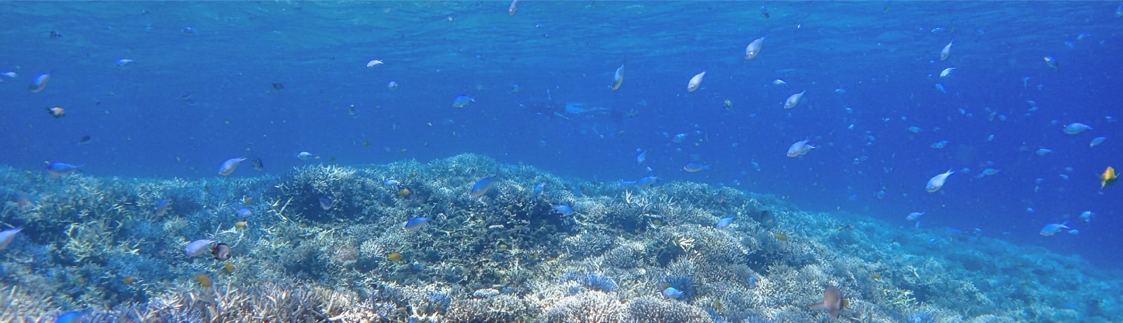 環境にやさしい水潤滑システム
